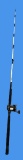 Penn 310 GTI Reel and Rod