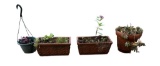 (3) Terra Cotta Planters & (1) Plastic Hanging