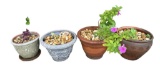 (4) Planters:  11