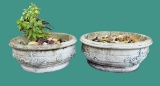 (2) Concrete Planters:  16