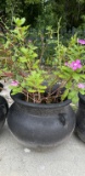 Round Planter with Plant--18