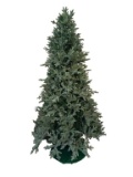 Pre Lite Christmas Tree-- 93