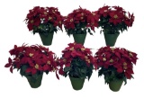 (6) Artificial Poinsettias
