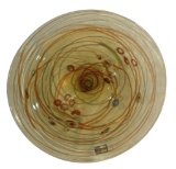 Viz Art Glass Hand Blown Wall Art -