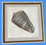 Framed Shell Artwork—22.25” Square