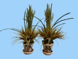 (2) Hand Made Clay Art Flower Pots with Attached
