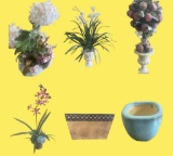 (6) Planters