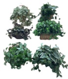 (6) Baskets With Artificial Greenery Arrangements
