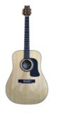 Washburn D 120 Dreadnought Acoustic Guitar