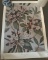 “Mountain Laurel