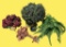 Assorted Artificial Flower/Plant Arrangements