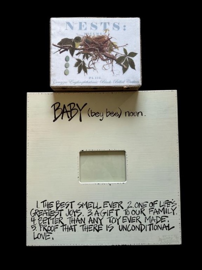 (2) Wall Art Items: 20" Square Baby Picture Frames