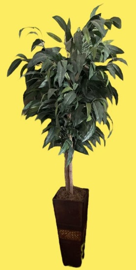 Artificial Ficus Tree—80” Tall in 24” Tall Planter