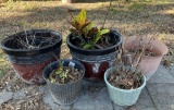 Assorted Larger Plastic Flower Pots