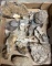 Assorted Rock, Mineral, and Fossil Specimens