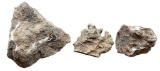 Agatized Coral Specimens