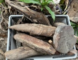 Assorted Pine Hearts and Wood