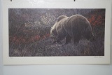 Brown Bear by Gause, Charles