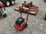 TROY BILT POWER WASHER