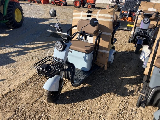 IRGC40 MINI GOLF CART SCOOTER