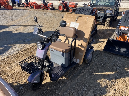 IRGC40 MINI GOLF CART SCOOTER