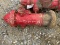FIRE HYDRANT