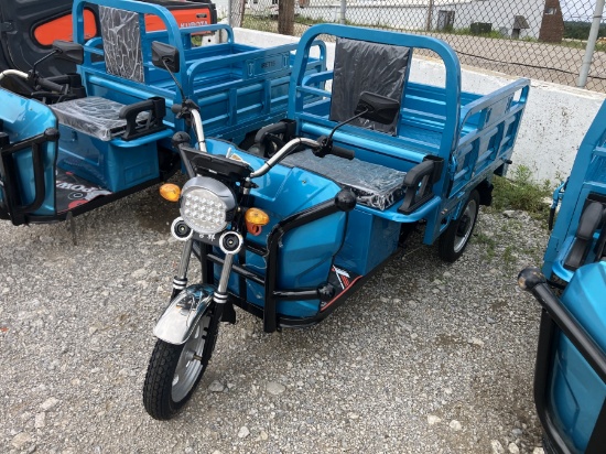 IR IRET13 HIGH END ELECTRIC TRICYCLE