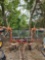 GALFRE 17' HYDRAULIC FOLD HAY TEDDER