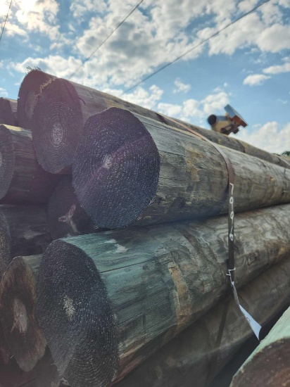 20- 8"X8' TREATED POST (ALL FOR 1 MONEY)
