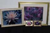 Colorful Framed Flower Photography