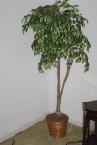 6ft Faux Ficus Tree W/Basket