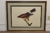 1972 Audubon 