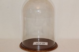Large Clear Glass Dome Display