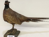 Vintage Pheasant on Wood Base