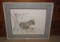 Limited Edition Hand Colored Mountain Lion Print Signed By Artist Jim Wilson