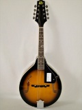 Gorgeous Rogue Model A Sunburst Mandolin