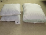 Serta Bed Pillow & 2 Smaller Zippered Ready To Cover Pillows