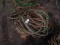 (2 Pallets) Oxygen/Acetylene Hose