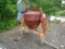 STONE Mortar Mixer, Honda 8HP gas