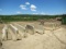 (30+/-) Jersey Barriers (BUYER MUST LOAD)