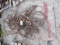 Wire Rope Slings