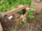 JRB 5-Tine Grapple (JD 270 90mm)