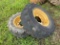 (2) Tires, with rims (Cat Backhoe)