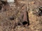 (1) 60', (5) 40', and (8) 15' Sections of Spiral Weld Pipe Piling, 12