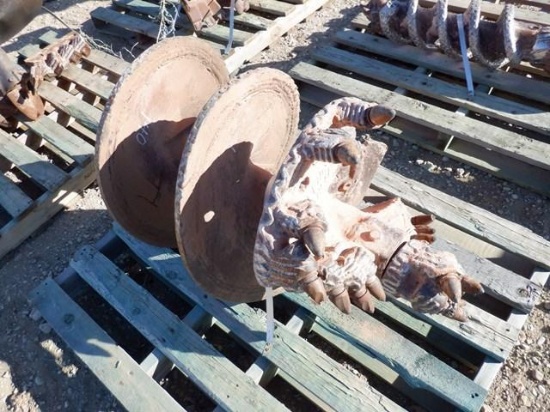24" Rock Auger, with 3" kelly (DAY 1) (WY) (Sales Tax)