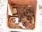 Trencher Teeth (Sales Tax) (WY)