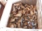 (2 Pallets) Bucket Teeth (Sales Tax) (WY)