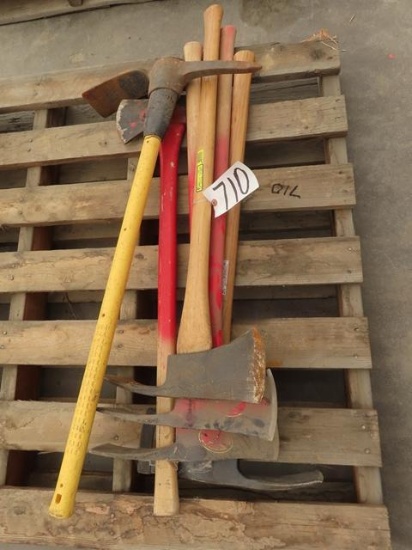 (6) Pick Axes (CO)