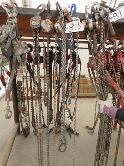 (5) Chain Come-A-Longs (CO)