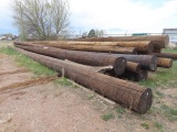 (31) 49' to 85' Wood Utility Poles (CO)